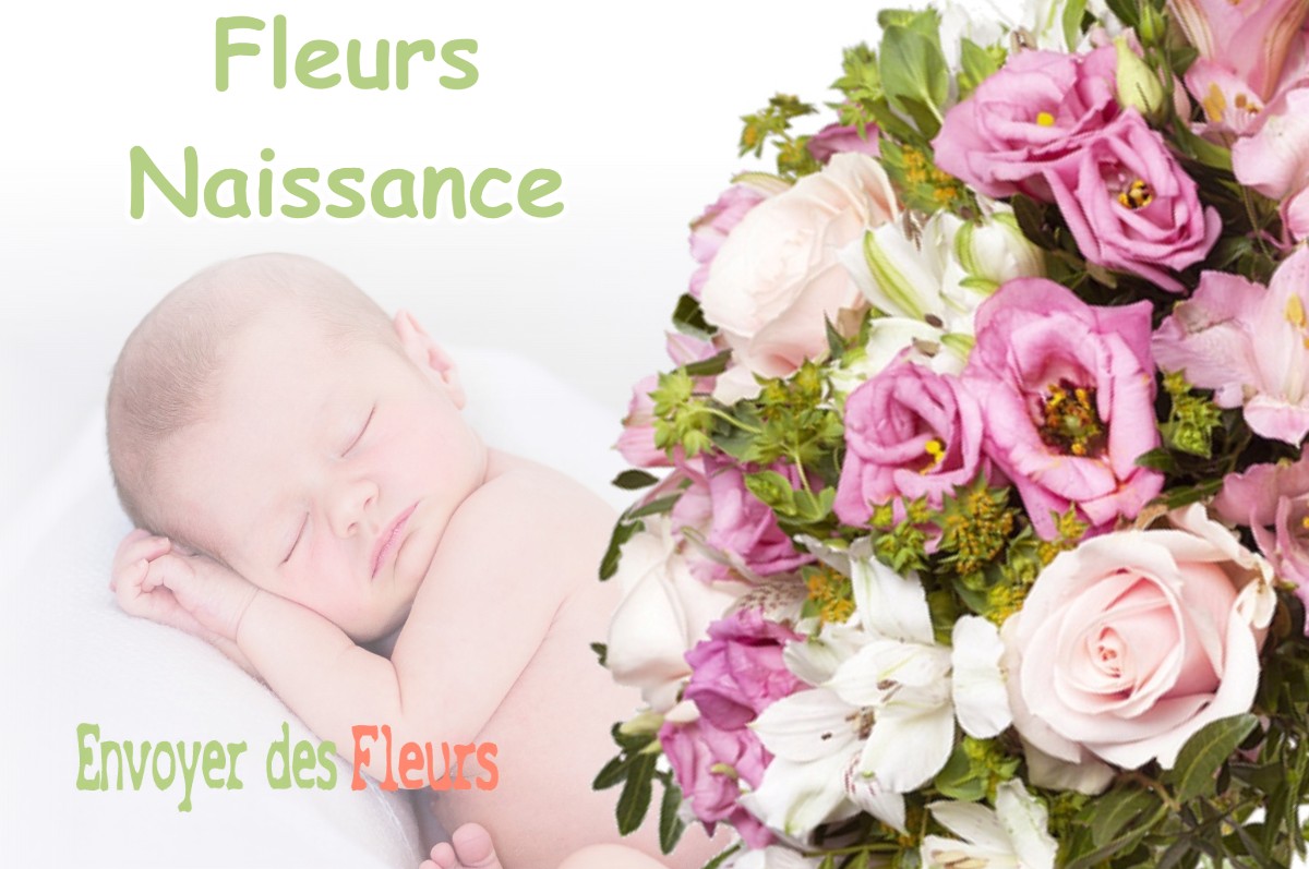 lIVRAISON FLEURS NAISSANCE à MIRIBEL-LES-ECHELLES